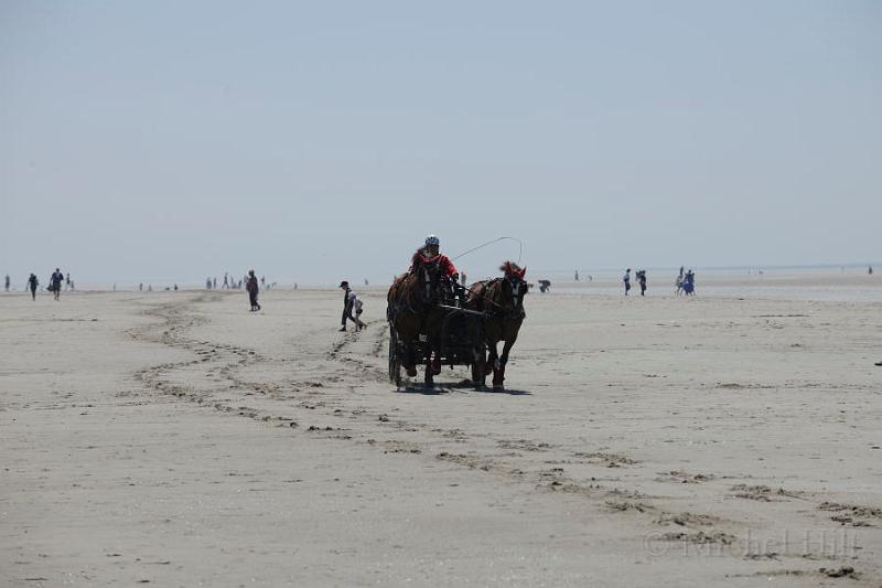 _D3X2210-Marathon des dunes de Fland.JPG